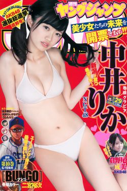 女士的法则免费高清观看完整版